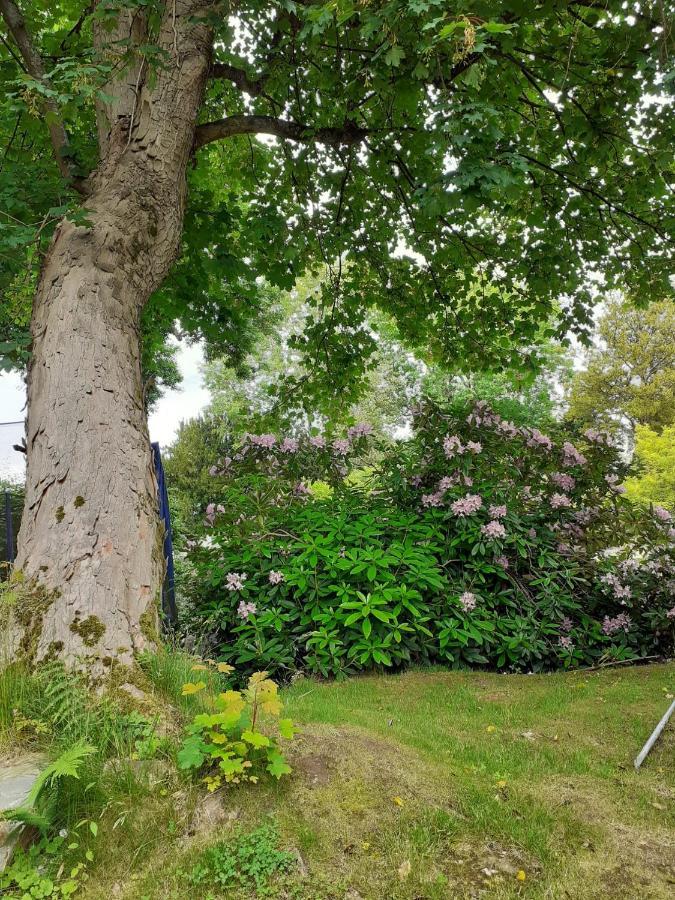 לינה וארוחת בוקר Isneauville Manoir De L'As De Trefle מראה חיצוני תמונה